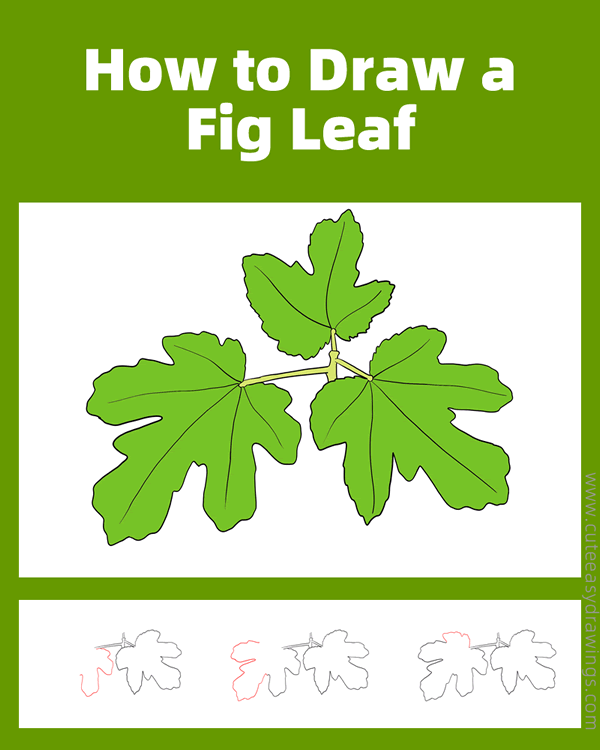 how to draw a fig leaf - www.cuteeasydrawings.com