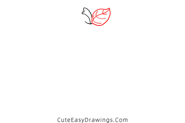 how to draw an apple core - www.cuteeasydrawings.com