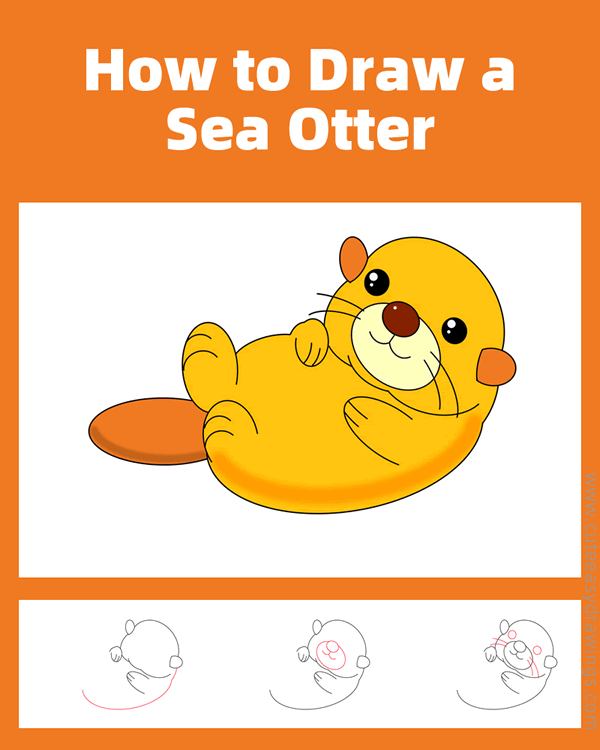 how to draw a sea otter - www.cuteeasydrawings.com