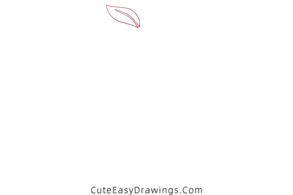 how to draw a mango - www.cuteeasydrawings.com