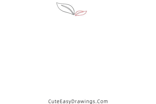 how to draw a mango - www.cuteeasydrawings.com