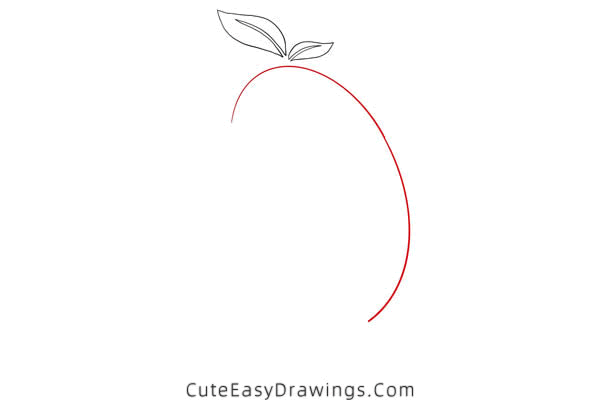 how to draw a mango - www.cuteeasydrawings.com