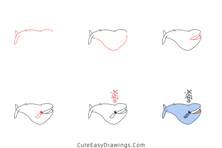 how to draw a blue whale - www.cuteeasydrawings.com