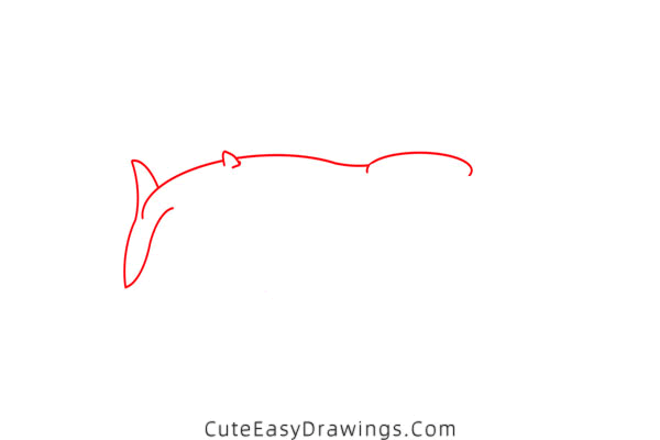 how to draw a blue whale - www.cuteeasydrawings.com