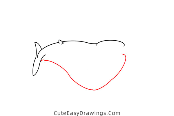 how to draw a blue whale - www.cuteeasydrawings.com