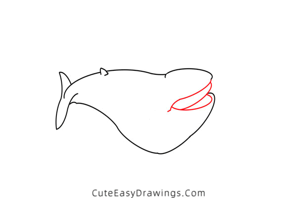 how to draw a blue whale - www.cuteeasydrawings.com