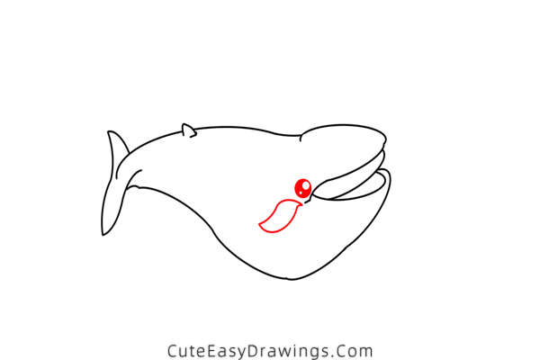 how to draw a blue whale - www.cuteeasydrawings.com