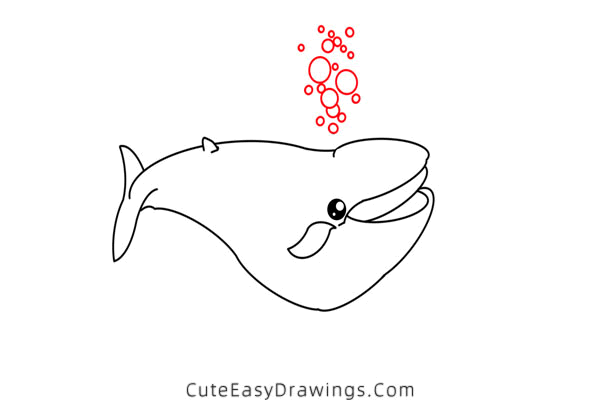 how to draw a blue whale - www.cuteeasydrawings.com