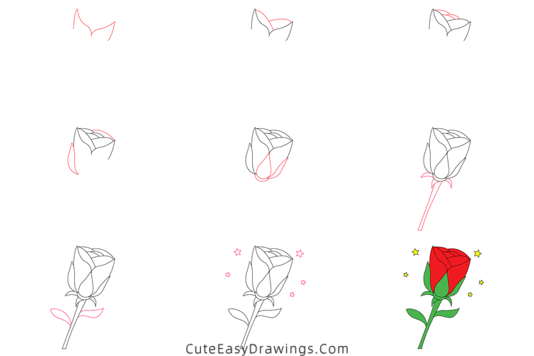 how to draw a rose - www.cuteeasydrawings.com