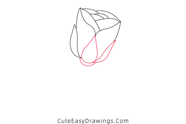 how to draw a rose - www.cuteeasydrawings.com