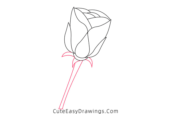 how to draw a rose - www.cuteeasydrawings.com