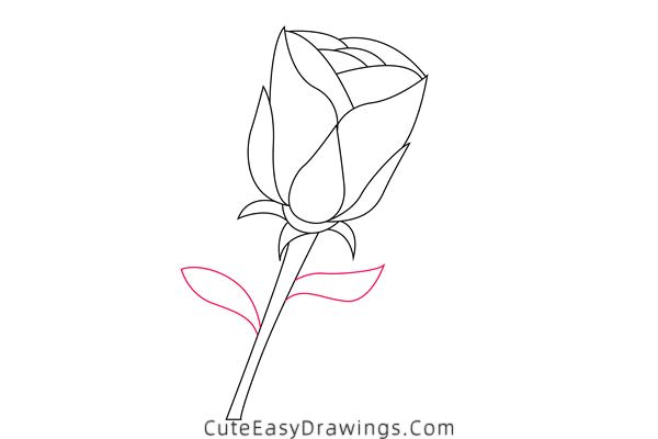 how to draw a rose - www.cuteeasydrawings.com