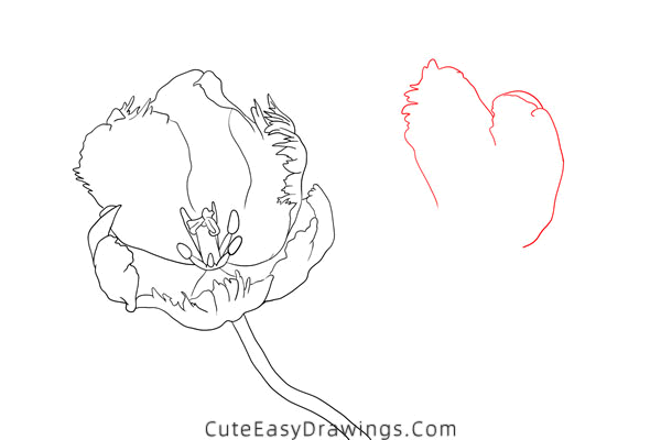 how to draw a tulip flower - www.cuteeasydrawings.com