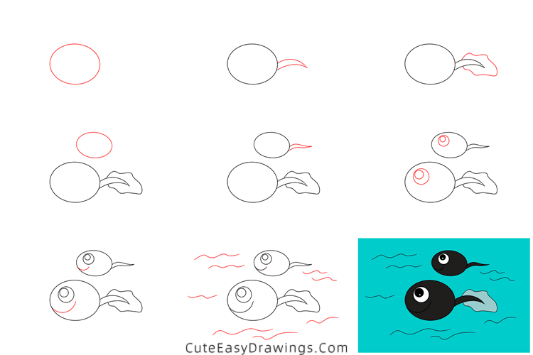 how to draw a tadpole - www.cuteeasydrawings.com