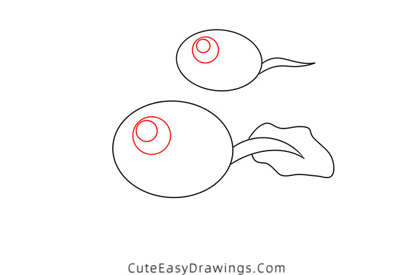 how to draw a tadpole - www.cuteeasydrawings.com