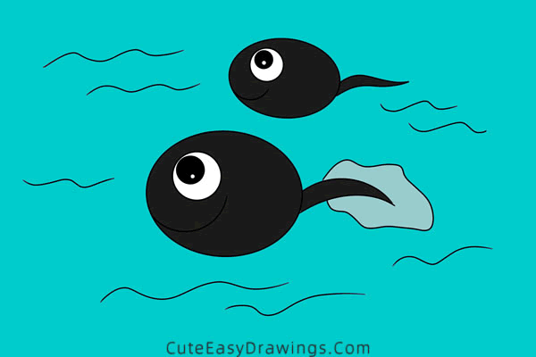 how to draw a tadpole - www.cuteeasydrawings.com