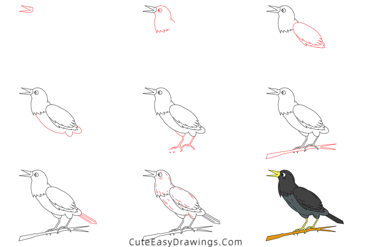 how to draw a raven bird - www.cuteeasydrawings.com