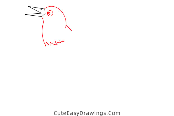 how to draw a raven bird - www.cuteeasydrawings.com