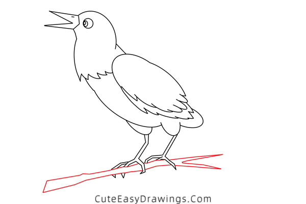 how to draw a raven bird - www.cuteeasydrawings.com