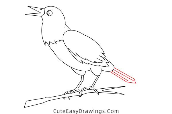 how to draw a raven bird - www.cuteeasydrawings.com