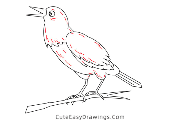 how to draw a raven bird - www.cuteeasydrawings.com