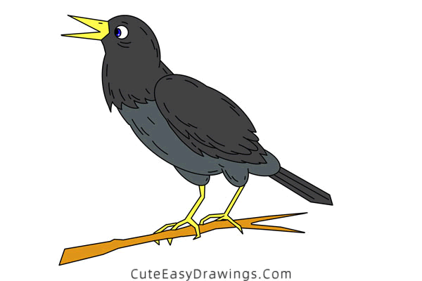 how to draw a raven bird - www.cuteeasydrawings.com