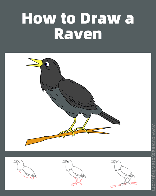 how to draw a raven bird - www.cuteeasydrawings.com