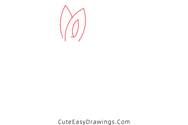 how to draw an aardvark - www.cuteeasydrawings.com