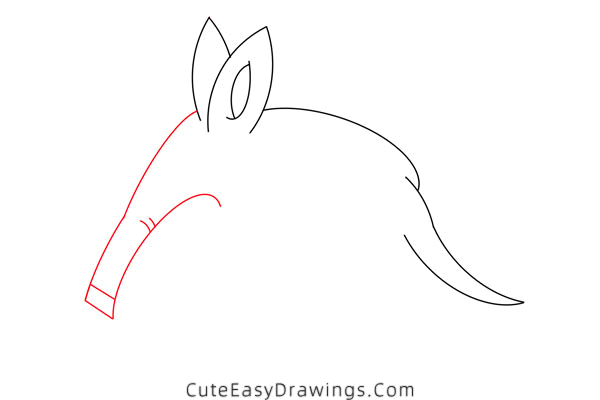 how to draw an aardvark - www.cuteeasydrawings.com