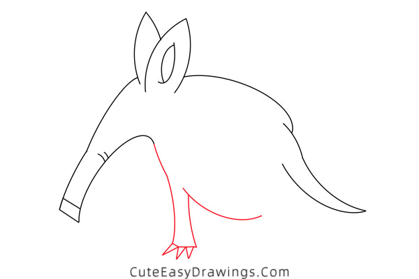 how to draw an aardvark - www.cuteeasydrawings.com