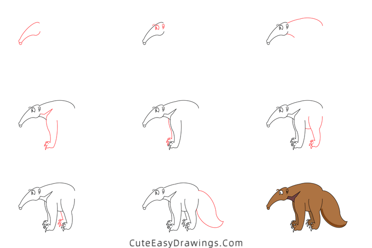 how to draw an anteater - www.cuteeasydrawings.com