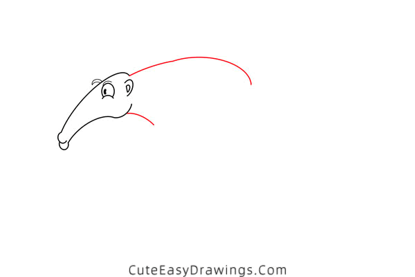 how to draw an anteater - www.cuteeasydrawings.com