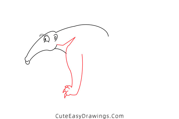 how to draw an anteater - www.cuteeasydrawings.com