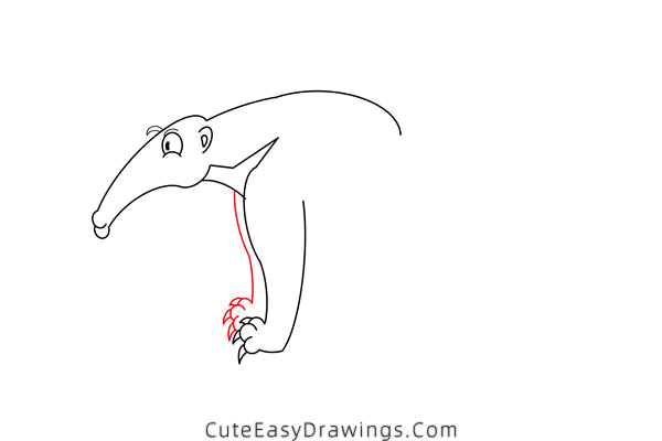 how to draw an anteater - www.cuteeasydrawings.com