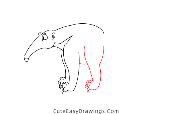 how to draw an anteater - www.cuteeasydrawings.com