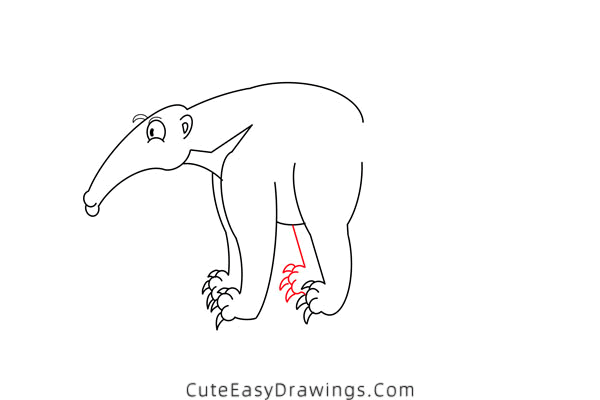 how to draw an anteater - www.cuteeasydrawings.com