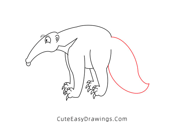 how to draw an anteater - www.cuteeasydrawings.com