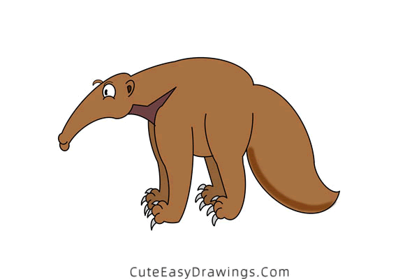 how to draw an anteater - www.cuteeasydrawings.com