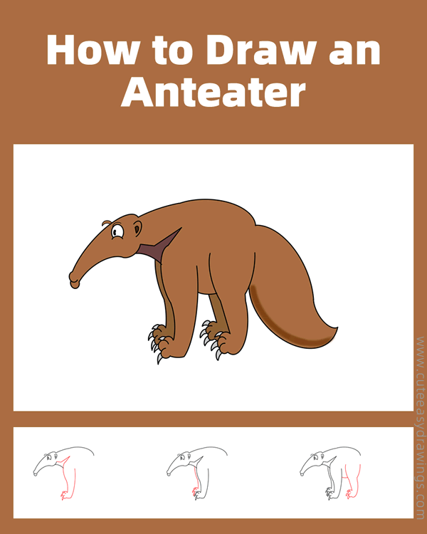 how to draw an anteater - www.cuteeasydrawings.com