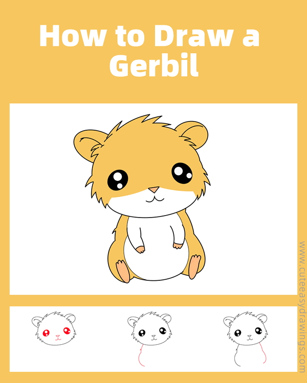 how to draw a cute gerbil - www.cuteeasydrawings.com