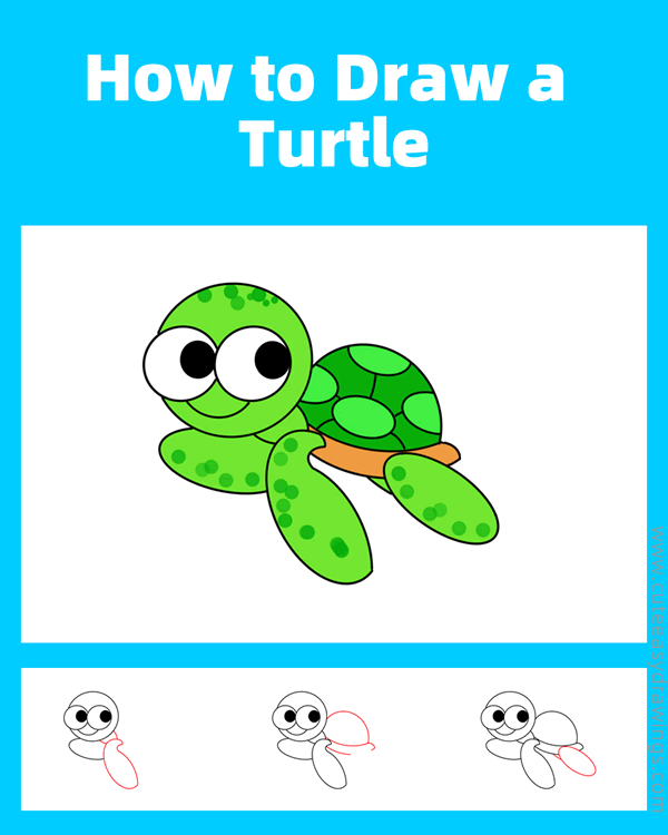 how to draw a sea turtle - www.cuteeasydrawings.com