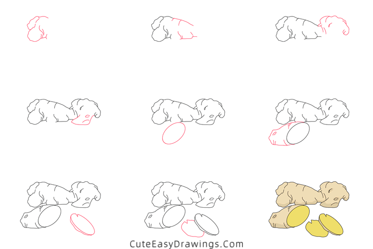 how to draw a ginger - www.cuteeasydrawings.com