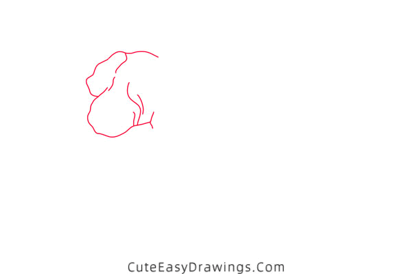 how to draw a ginger - www.cuteeasydrawings.com