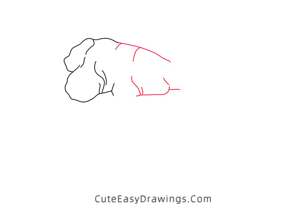 how to draw a ginger - www.cuteeasydrawings.com