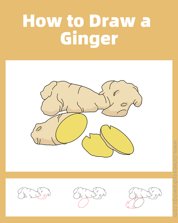 How to Draw a Ginger Step by Step Cute Easy Drawings