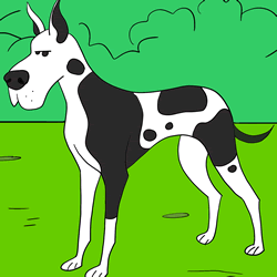 How to Draw a Great Dane Step by Step