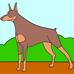 How to Draw a Doberman Step by Step