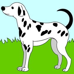 How to Draw a Dalmatian Step by Step