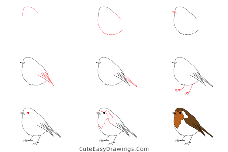 how to draw a robin - www.cuteeasydrawings.com