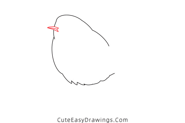 how to draw a robin - www.cuteeasydrawings.com